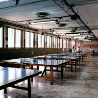ping pong